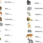 Abcteach Printable Worksheet Zoo Field Trip Checklist Zoo Animals