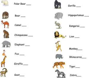 Abcteach Printable Worksheet Zoo Field Trip Checklist Zoo Animals