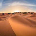 Dunes Of Sahara
