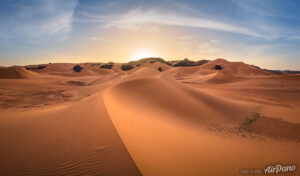 Dunes Of Sahara