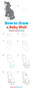 How To Draw A Baby Wolf Really Easy Drawing Tutorial Drawing