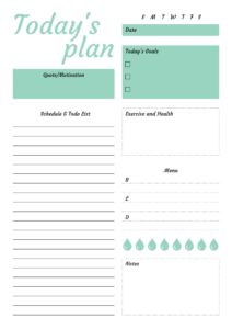 Printable Today s Plan With Schedule Todo List PDF Download Daily