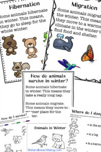 The Ultimate Winter Animals For Preschool Activities Natural Beach Living