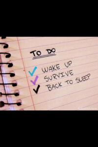 To Do List Funny Quotes QuotesGram