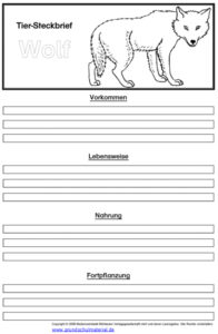 Vorlage Tiersteckbrief Wolf Medienwerkstatt Wissen 2006 2021